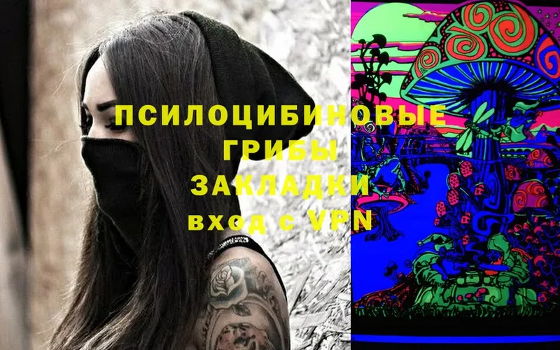 Псилоцибиновые грибы Cubensis  цены   Колпашево 